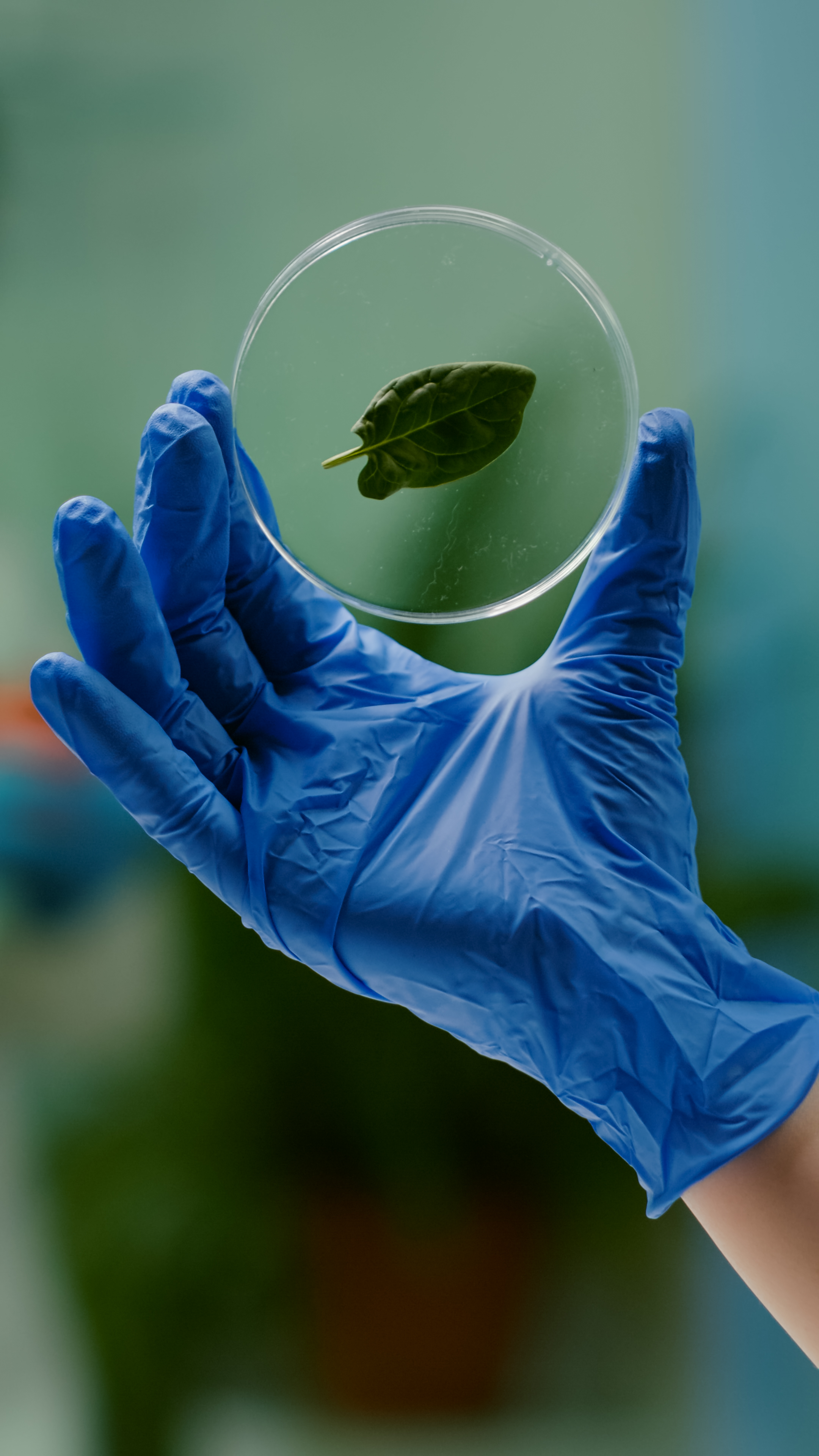 Bioprocessos