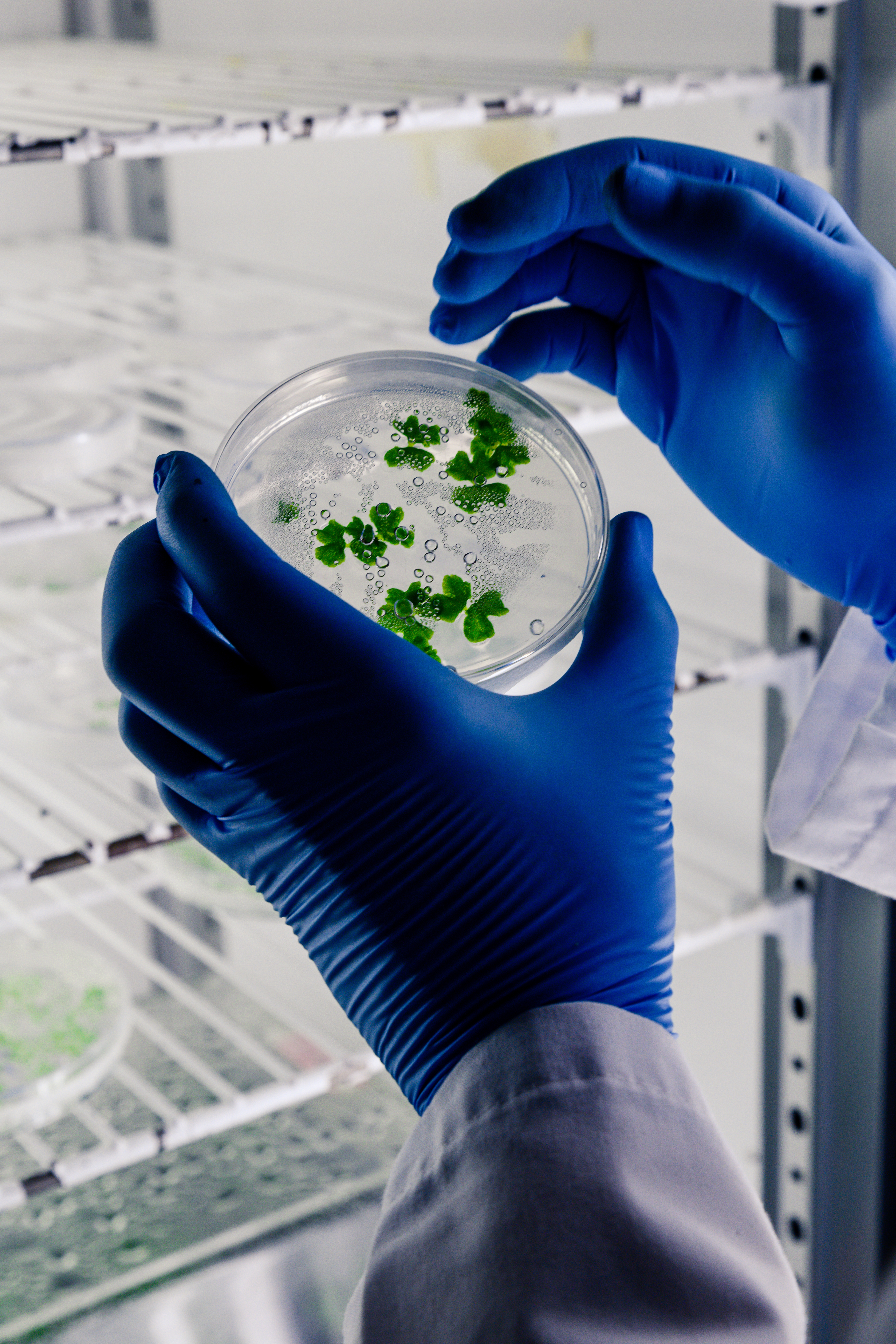 Bioprocessos