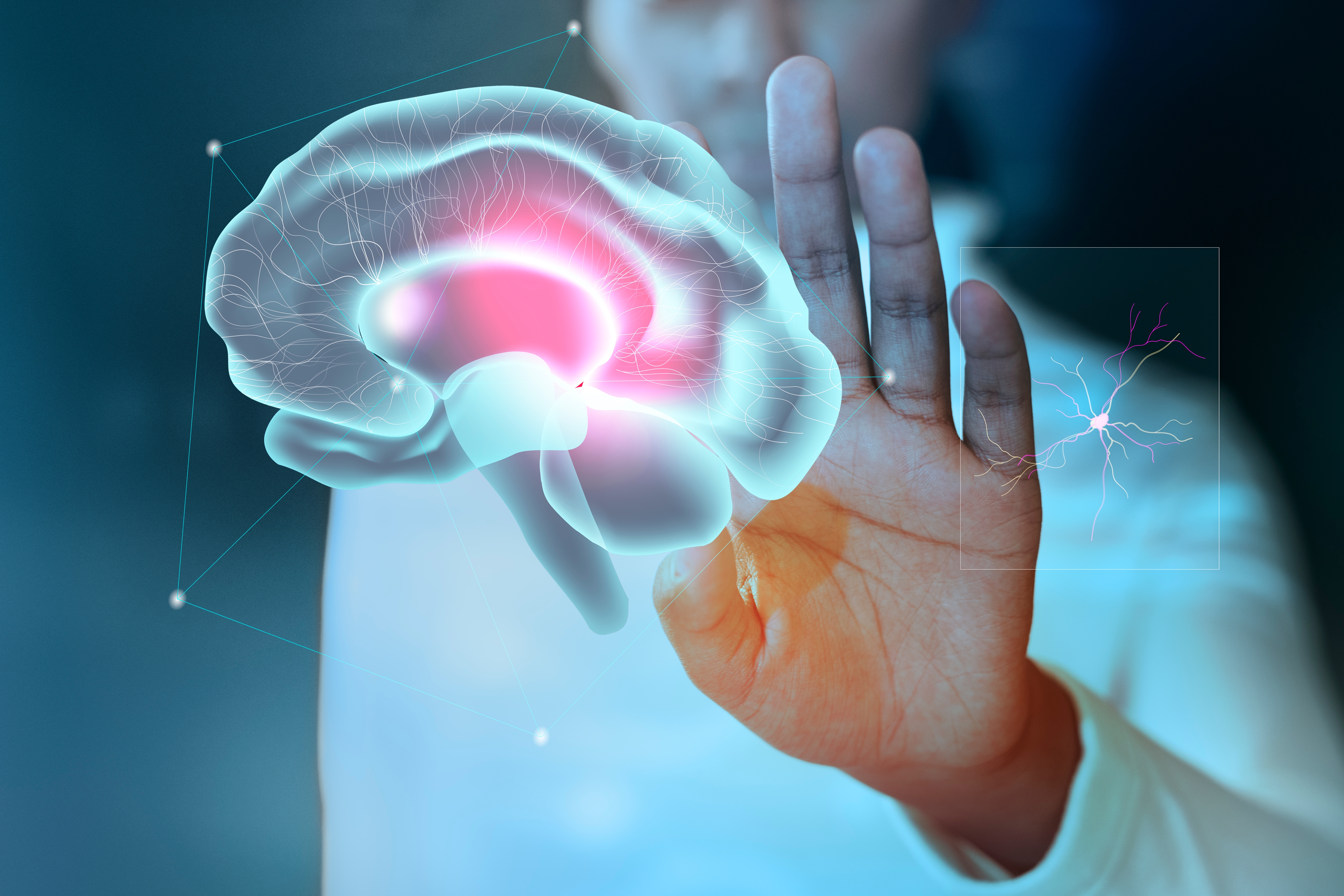 Neuroeducação