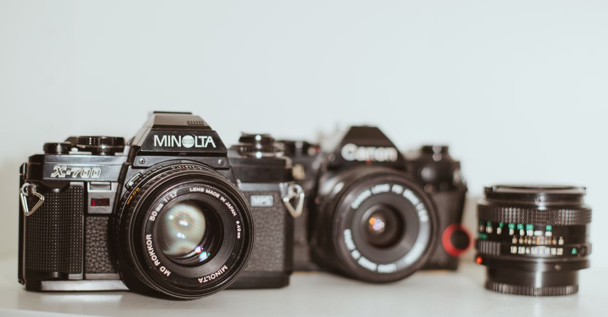 Fotografia para Iniciantes: Domine a câmera