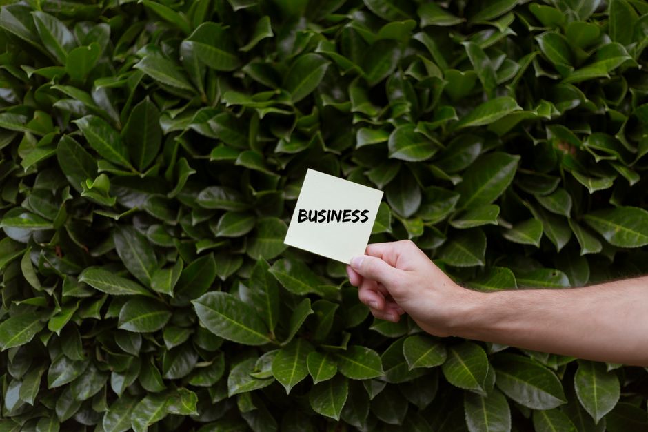 Sustentabilidade em Negócios: O Novo Paradigma