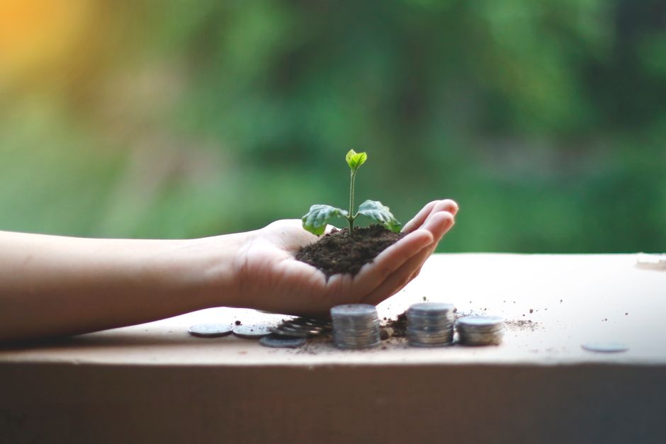 Empreendendo com Impacto: Negócios Sociais e Sustentabilidade
