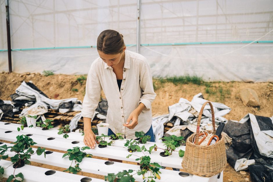 Sustentabilidade em Negócios: Práticas Inovadoras