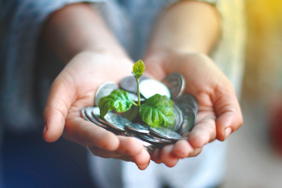 Sustentabilidade e Negócios: Transformando Desafios em Oportunidades