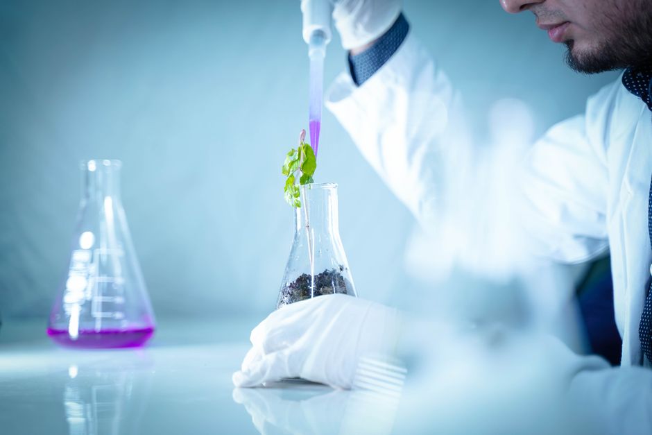 O Impacto da Biotecnologia em Negócios