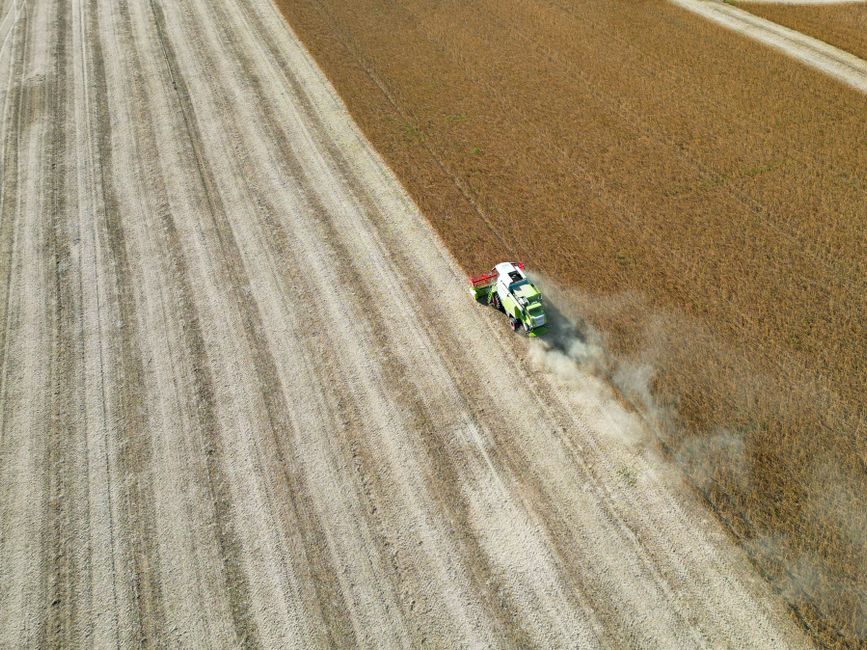 Inteligência Artificial na Agricultura de Precisão: Cultivando o Futuro com Dados